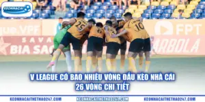 V League Có Bao Nhiêu Vòng Đấu kèo nhà cái | 26 Vòng Chi Tiết