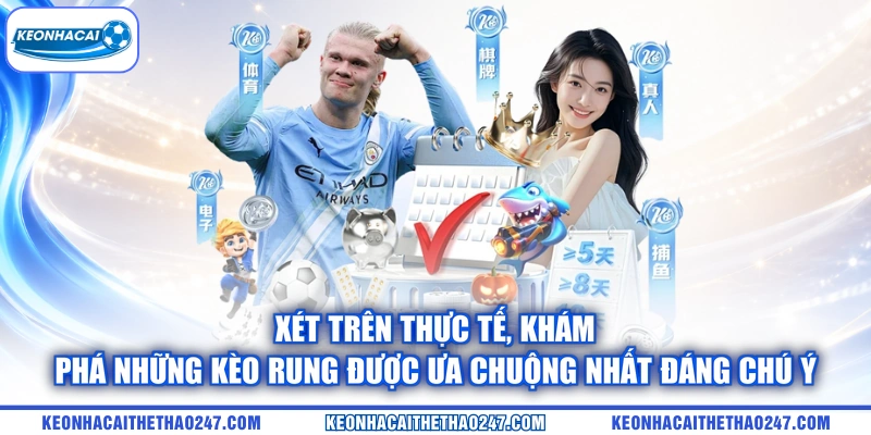 Xét trên thực tế, khám phá những kèo rung được ưa chuộng nhất đáng chú ý